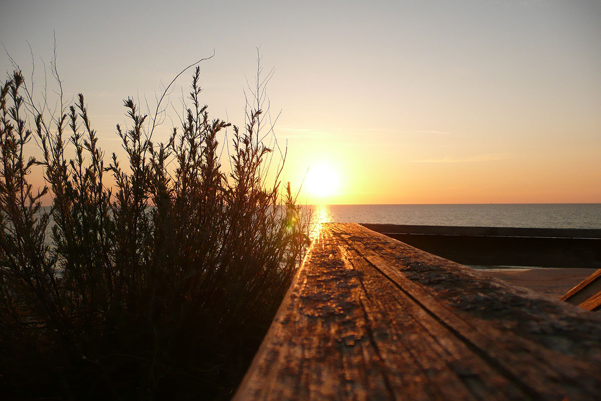 Meklē cēloņus sevī