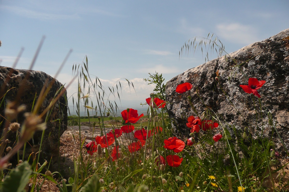 Nevēlami cilvēki mums blakus